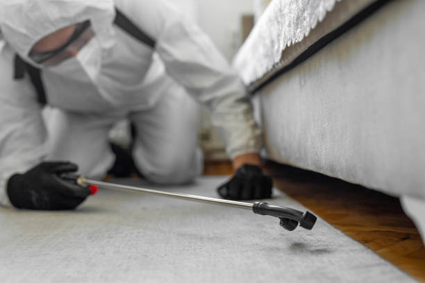 Professional Bed Bug Control technician working in Pleasant Ridge, MI